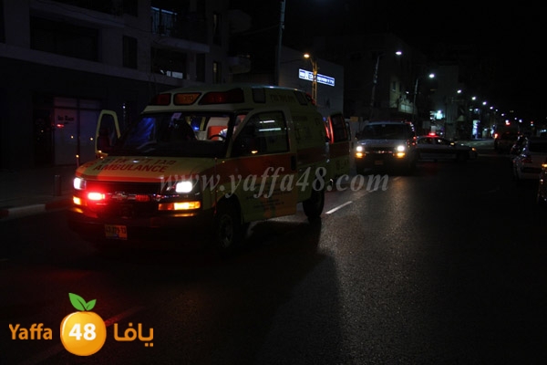 shejar aretreeien (14).JPG